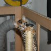 150216_sans titre_037-8